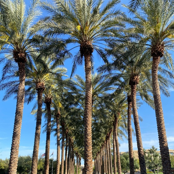 Meet your Posher, Ryan - Picture 1 of 1